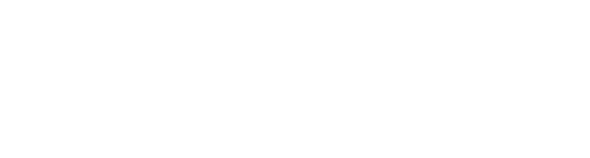 Stlish bag collection